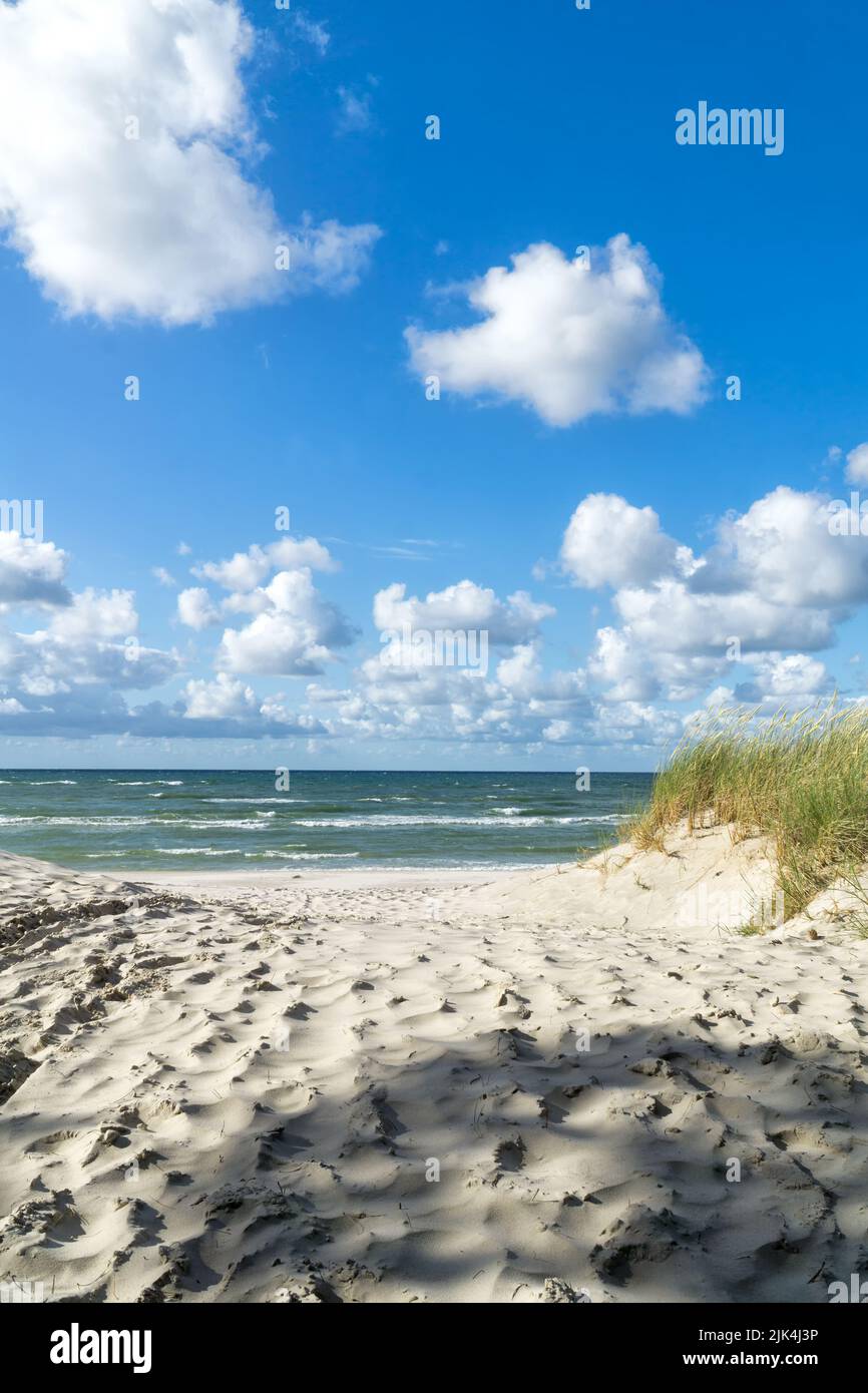 Entrance to a sandy beach through dunes, Baltic Sea near Łeba, Poland, Europe. Summer, little waves on the water, blue sky with white clouds. Stock Photo