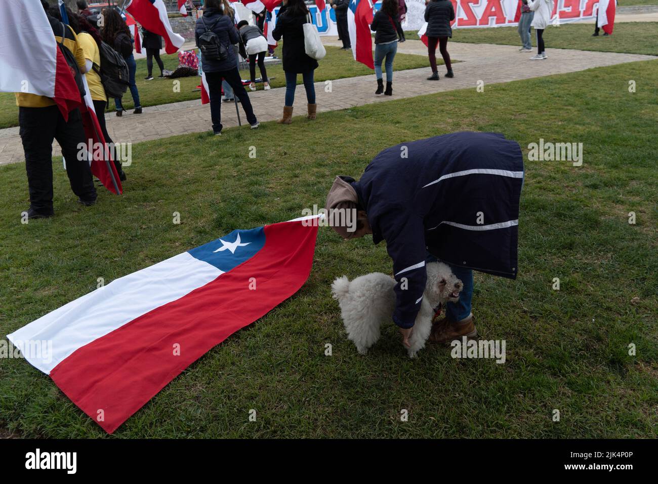 Santiago, Metropolitana, Chile. 30th July, 2022. A woman with her dog ''Coco'' arrive at a rally against the new proposed constitution in Santiago, Chile. On September 4, Chile will vote on whether to approve or reject the new constitution. (Credit Image: © Matias Basualdo/ZUMA Press Wire) Stock Photo