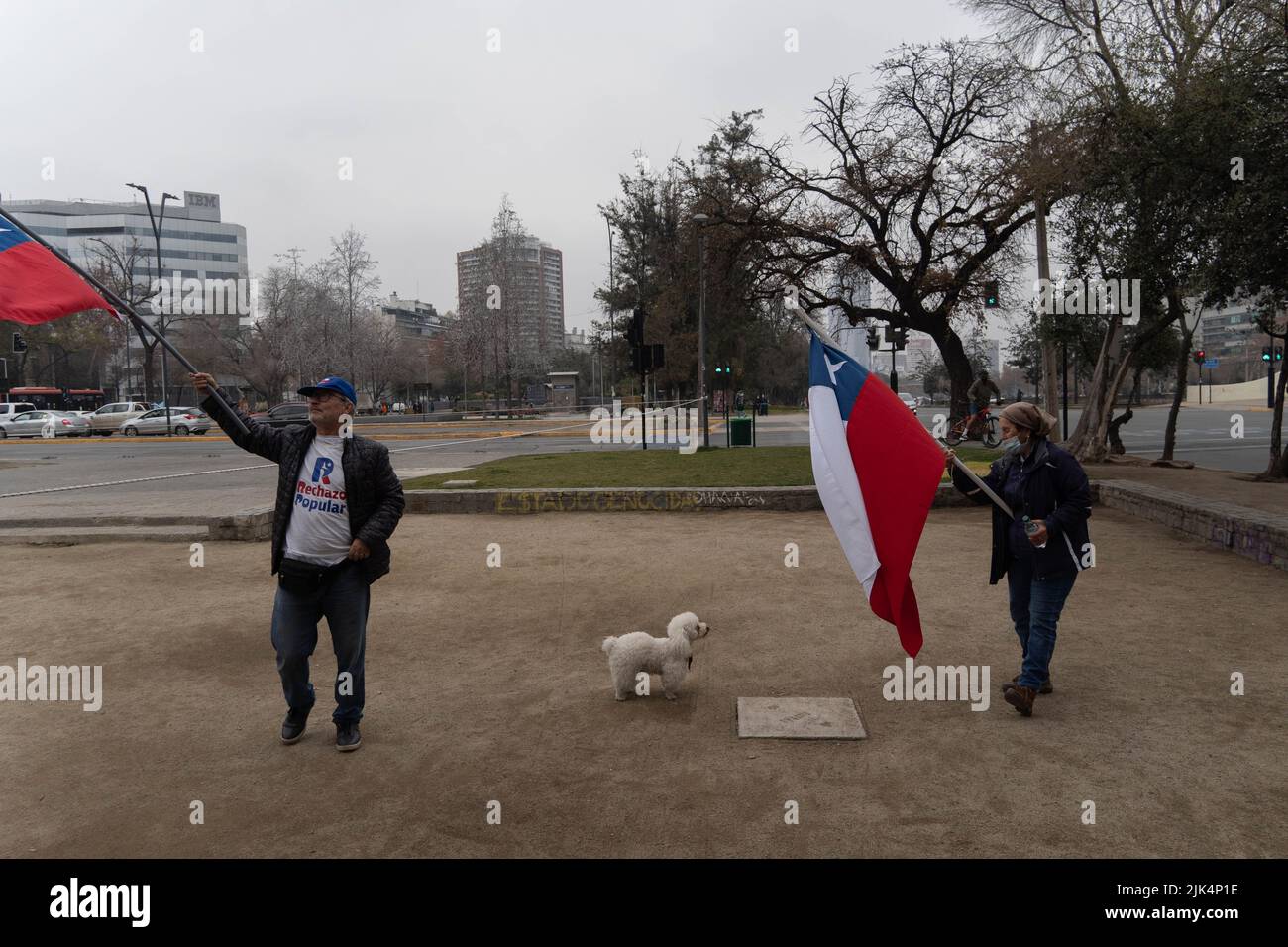 Santiago, Metropolitana, Chile. 30th July, 2022. A dog named Coco looks at his owner in the middle of a rally against the new proposed constitution in Santiago, Chile. On September 4, Chile will vote on whether to approve or reject the new constitution. (Credit Image: © Matias Basualdo/ZUMA Press Wire) Stock Photo
