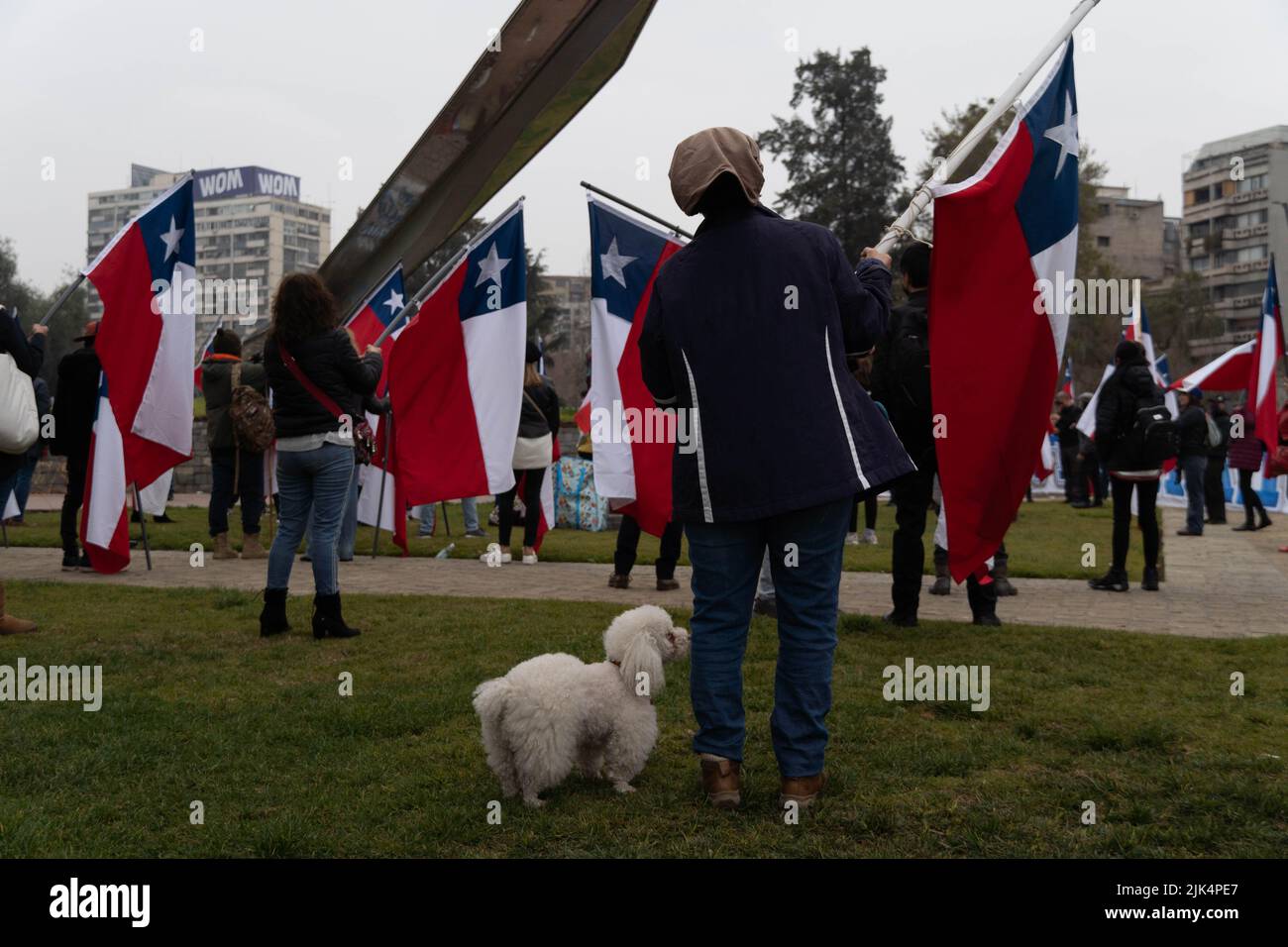 Santiago, Metropolitana, Chile. 30th July, 2022. A woman against the new proposed constitution takes part in a rally with her dog ''Coco'', in Santiago, Chile, with her dog, Coco. On September 4, Chile will vote whether to approve or reject the new constitution. (Credit Image: © Matias Basualdo/ZUMA Press Wire) Stock Photo