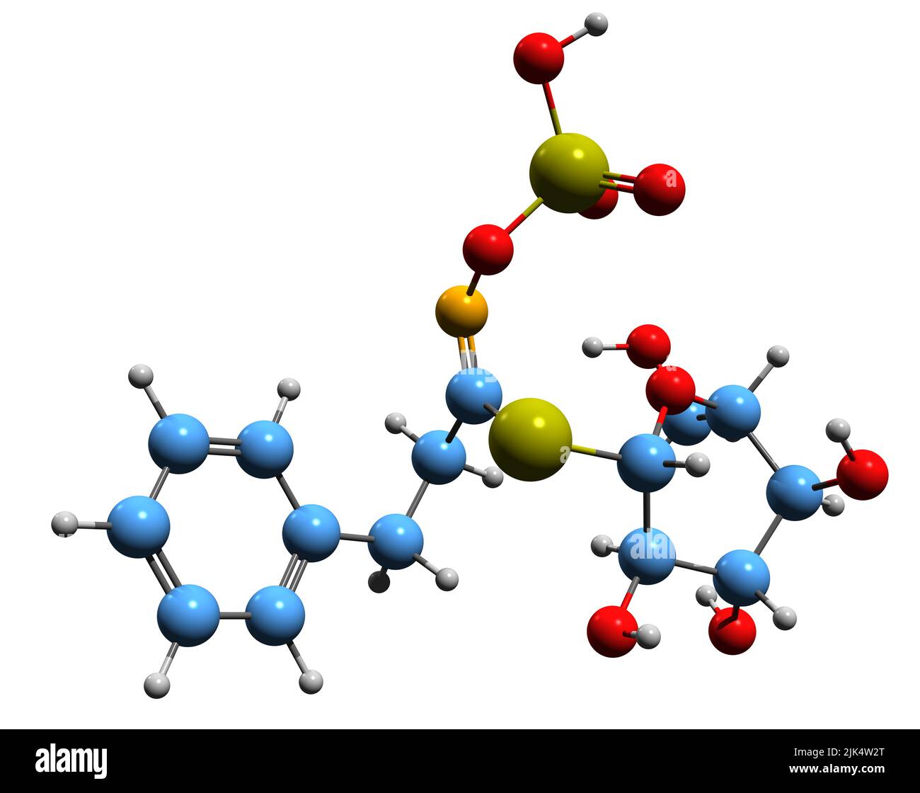 3D image of Gluconasturtiin skeletal formula - molecular chemical structure of phenethylglucosinolate isolated on white background Stock Photo