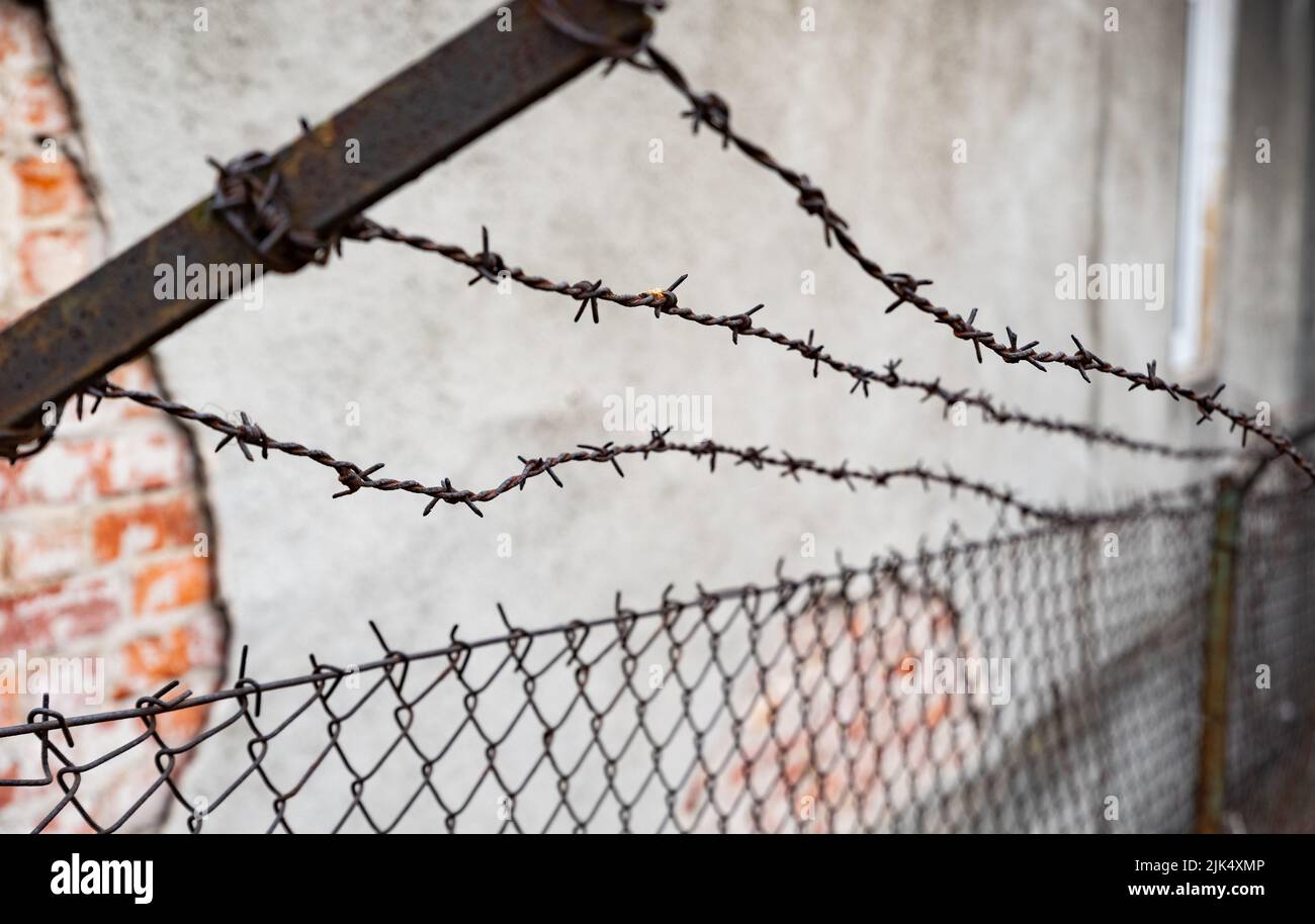 Old barbed wire fence. Rusty barbed wire on a brick wall background ...