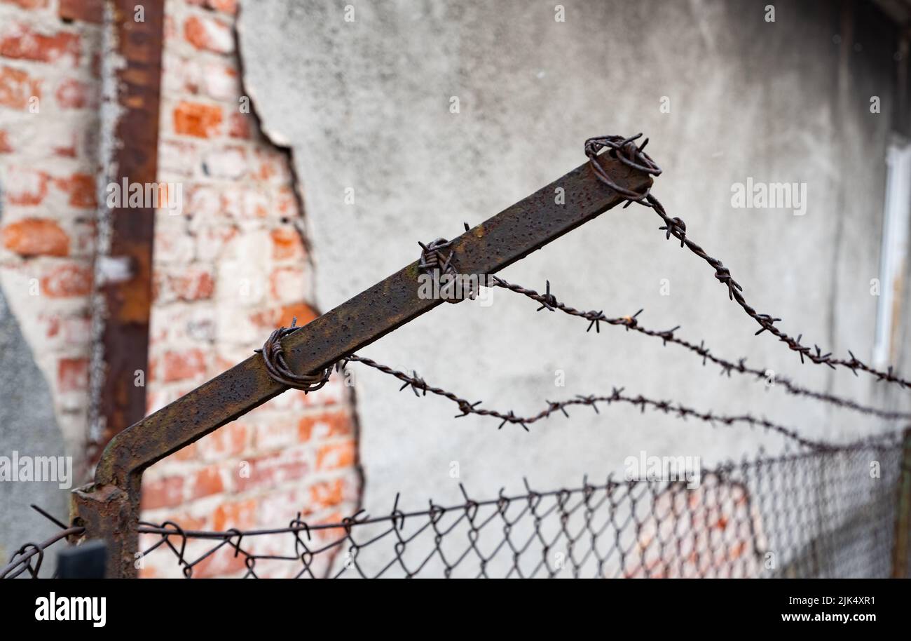 Old barbed wire fence. Rusty barbed wire on a brick wall background ...