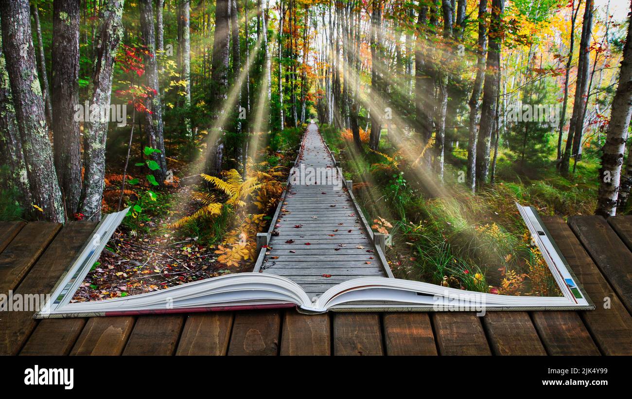 Open book on wooden deck with boardwalk autumn view in Acadia National Park in Maine with artificial sunflare Stock Photo