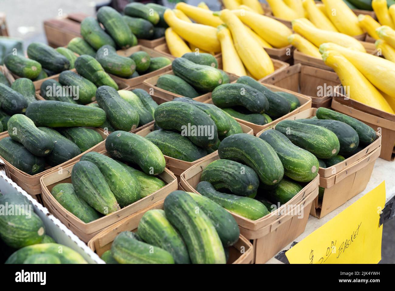 Green zucchini at farmer market Stock Photo