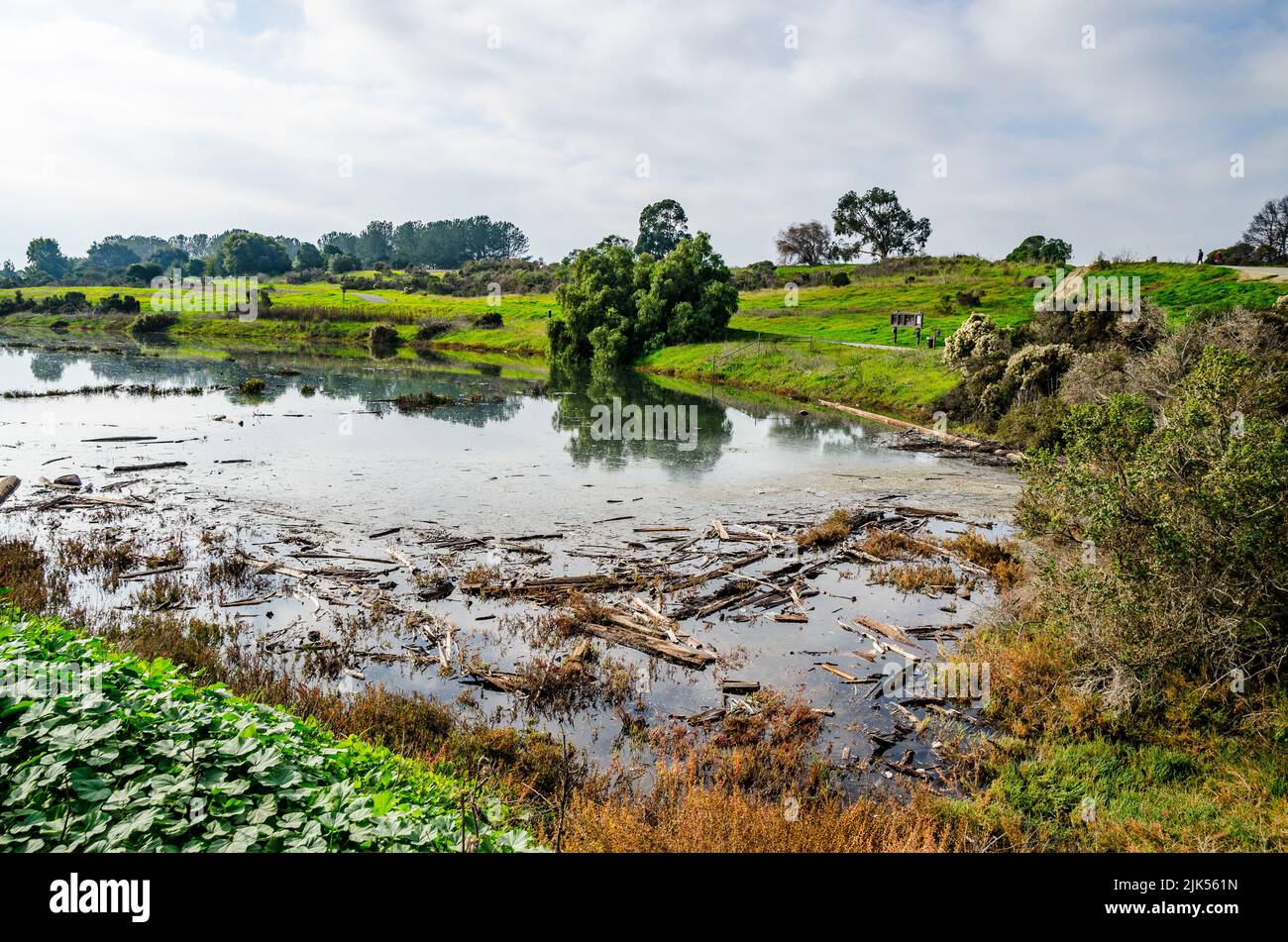 King tides fill an estuary at the Oyster Bay Regional shoreline park in
