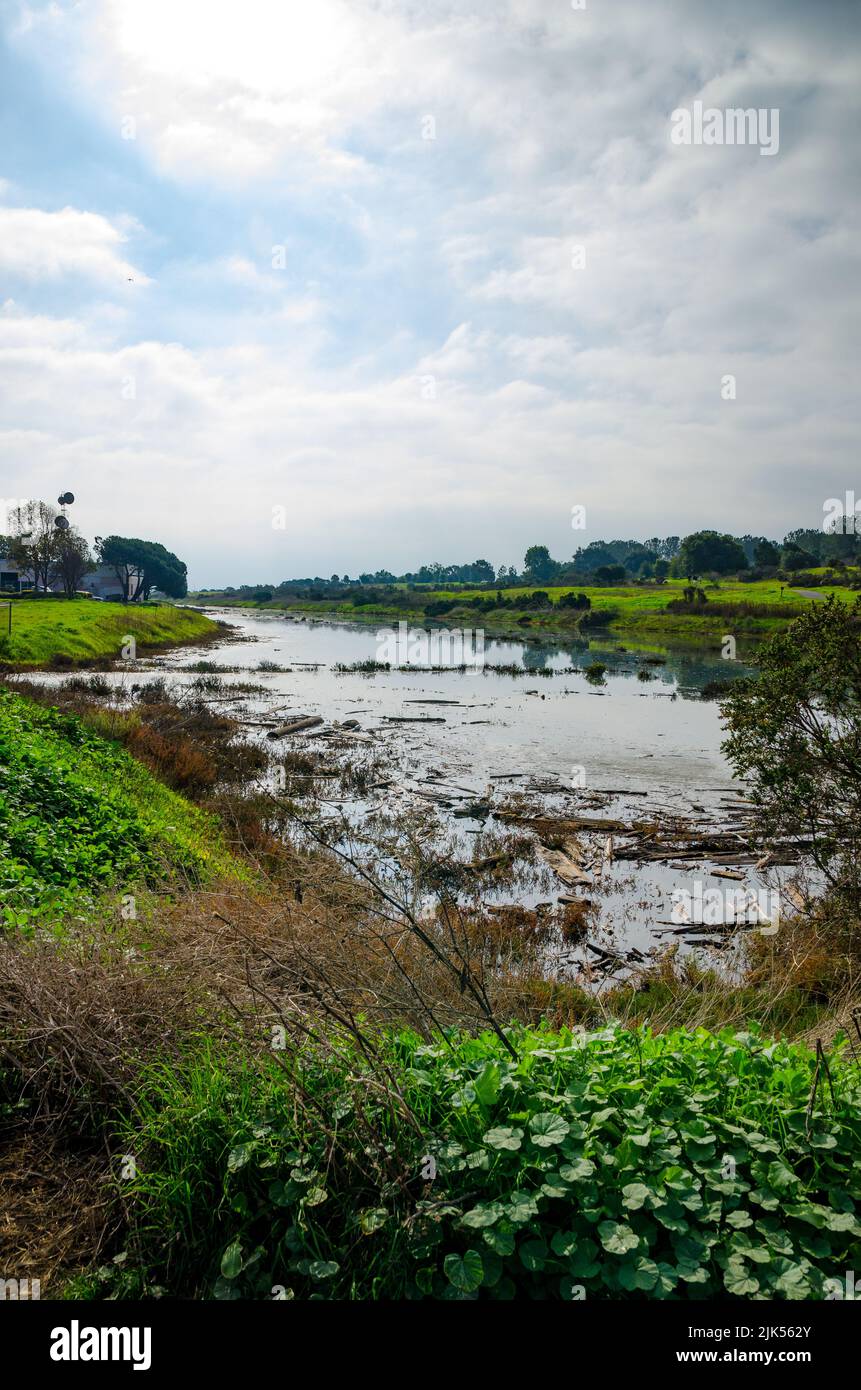 King tides fill an estuary at the Oyster Bay Regional shoreline park in