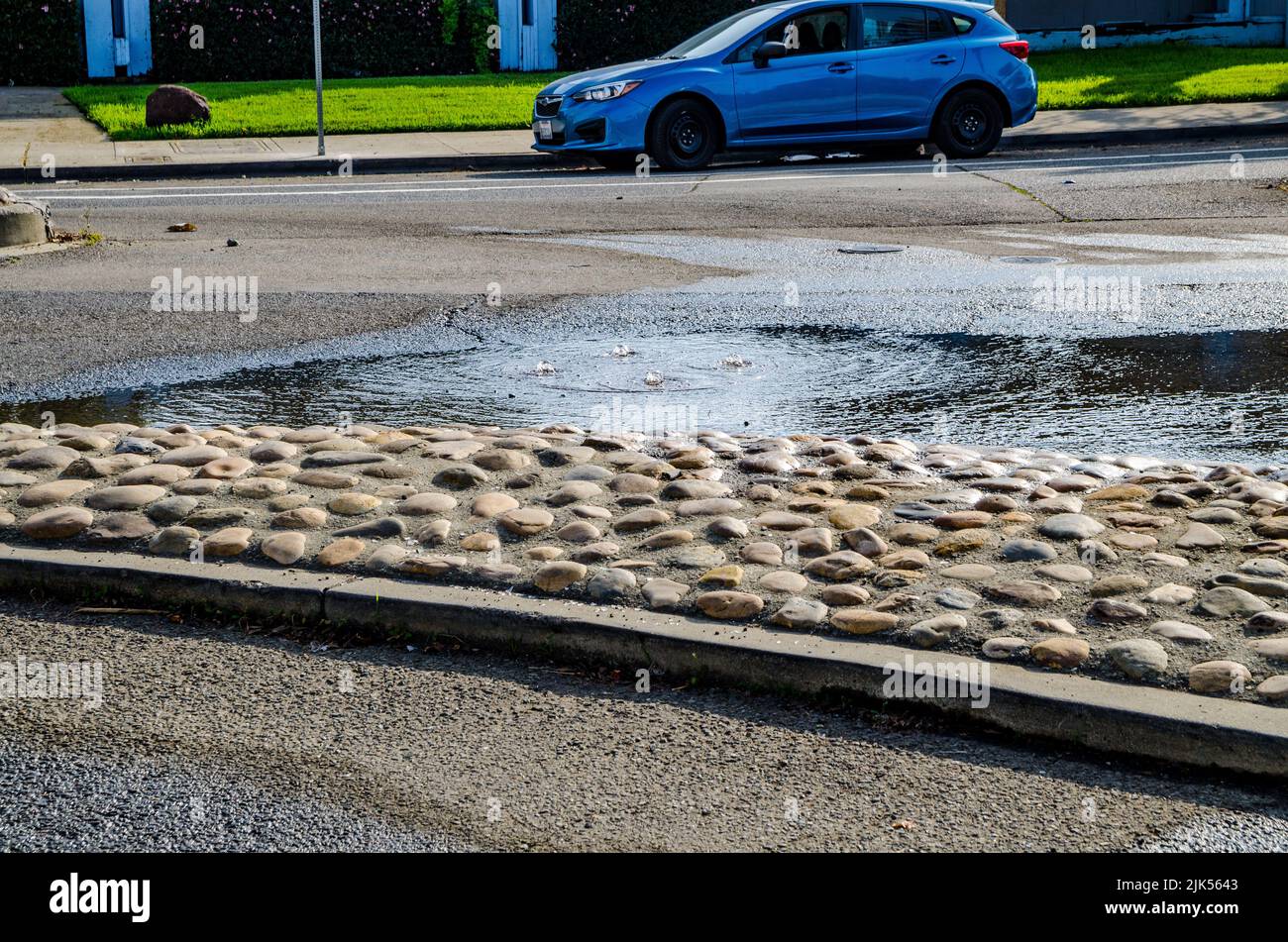 The King tide on December 4 2021 causes minor flooding with bay water backing up through the storm drain system in San Leandro California USA Stock Photo