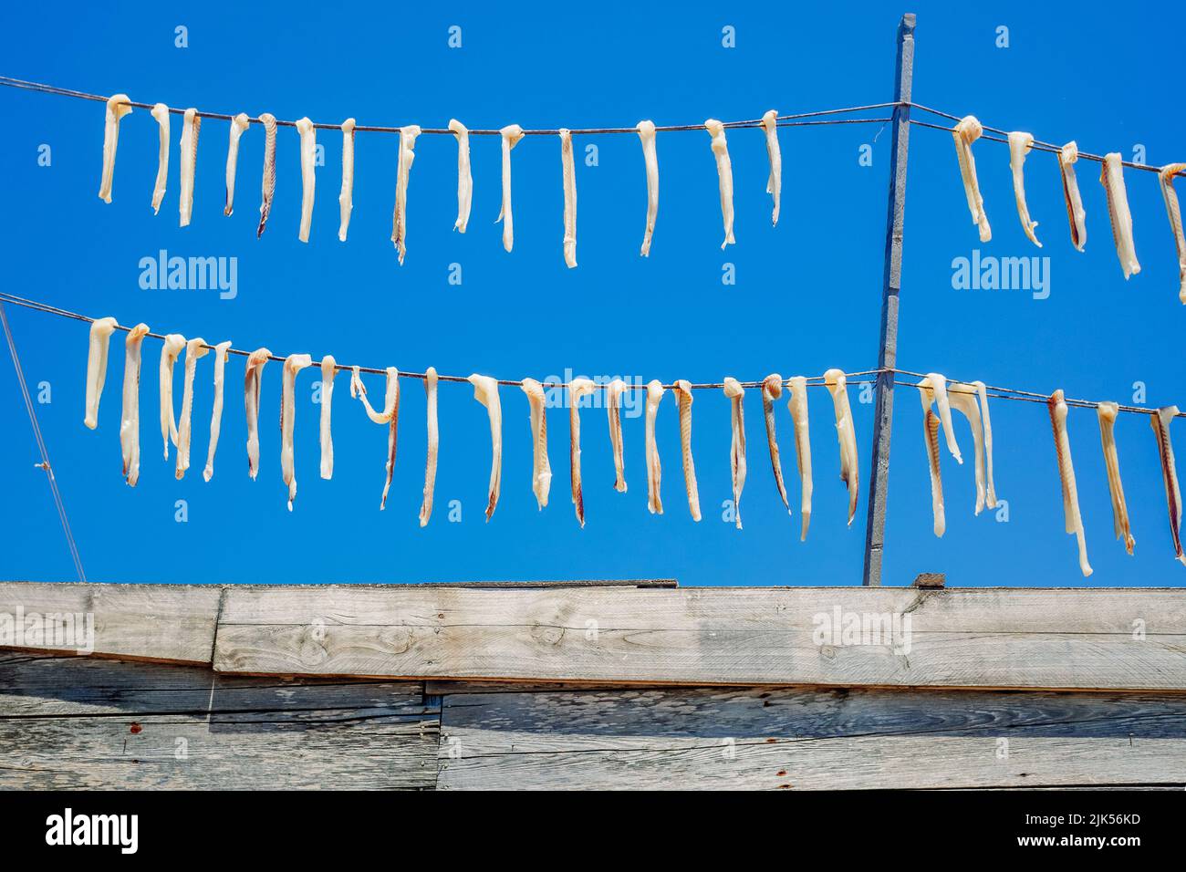 How to clean and fillet the fish 3 hi-res stock photography and images ...