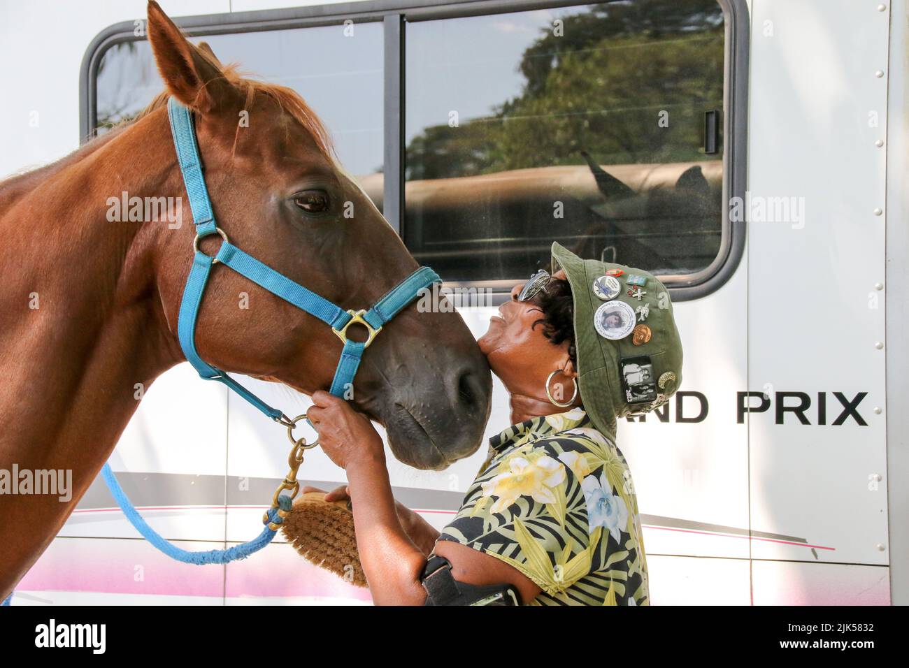 Concerned Horse Stock Photo by ©ca2hill 8963370