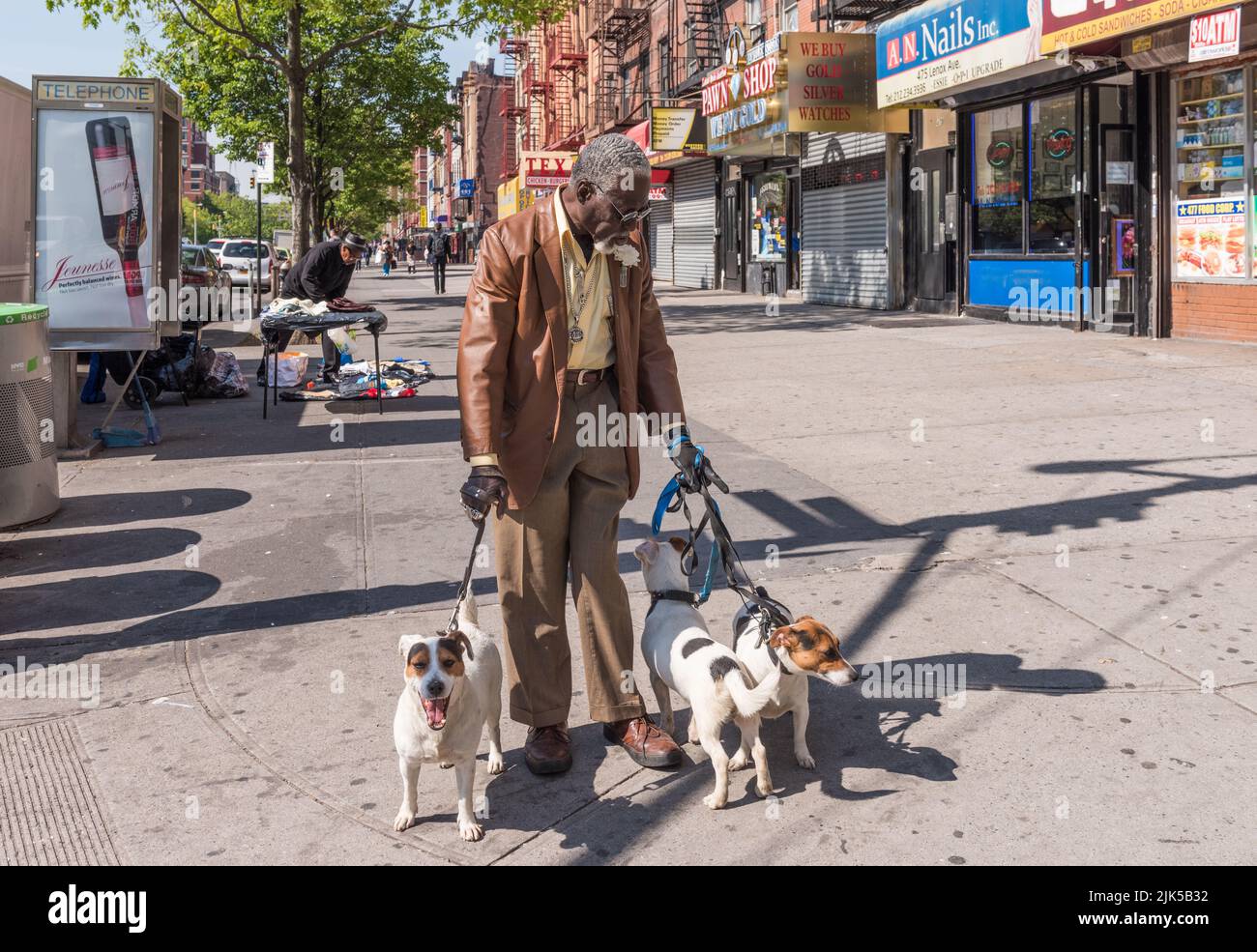 New York, NY/USA - 05-07-2016: African American Senior wearing boutenir walking dogs on 125th Street in Manhattan. Stock Photo