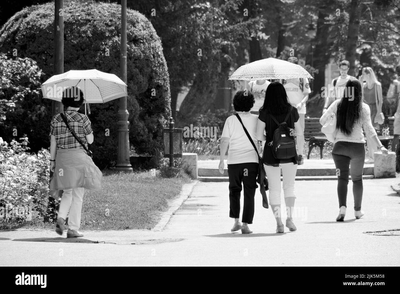 black and white street scene, people walking with sun umbrellas on hot summer day in a park of Belgrade, capital of Serbia Stock Photo
