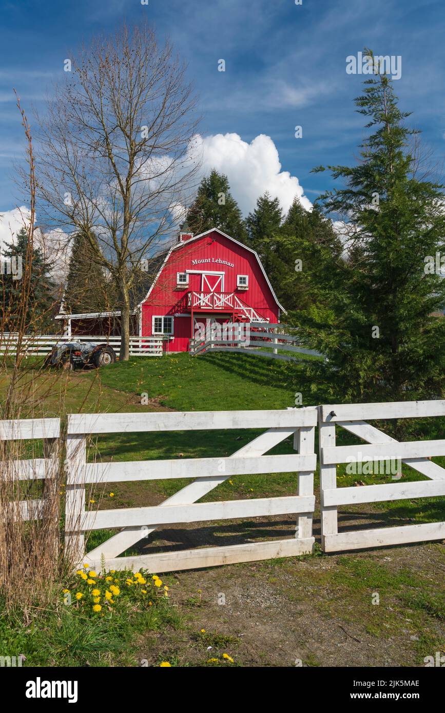 A red farm barn near Abbotsford, British Columbia, Canada. Stock Photo