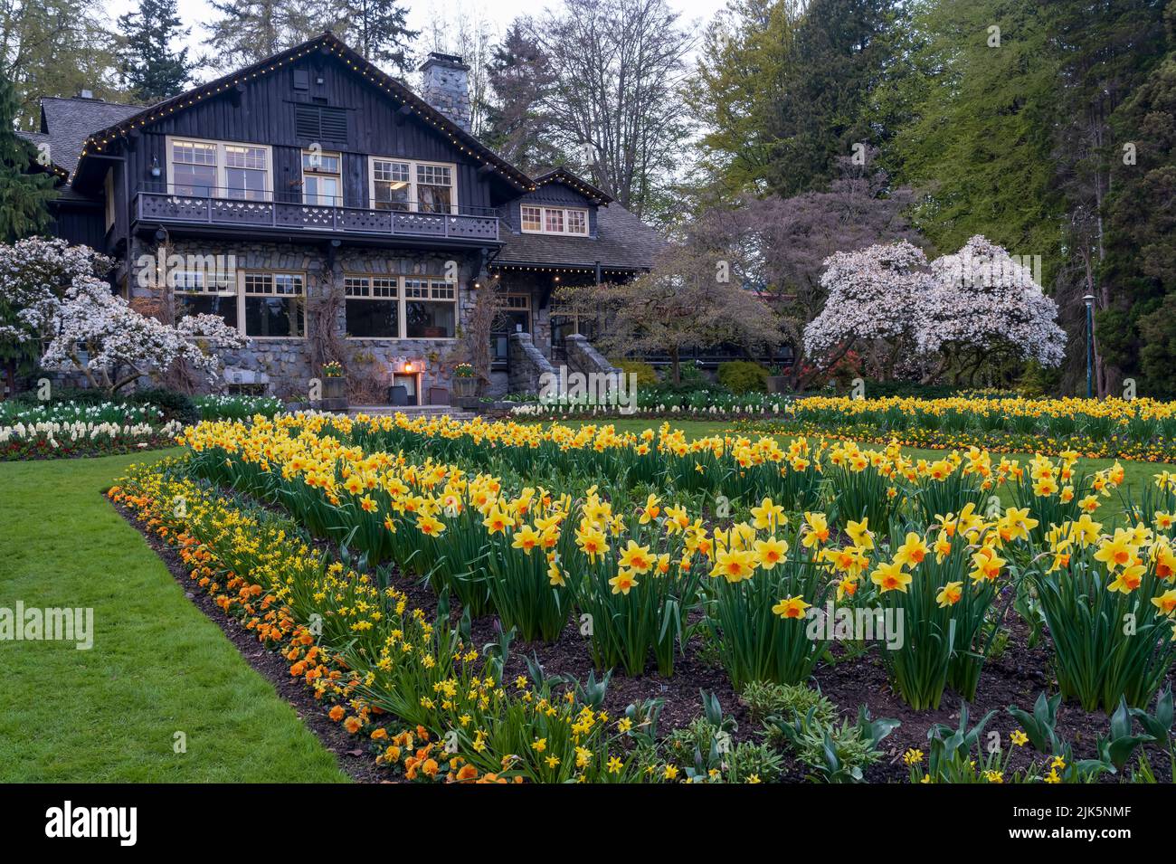 Spring flower gardens in full bloom in Stanley Park, Vancouver, British Columbia, Canada. Stock Photo