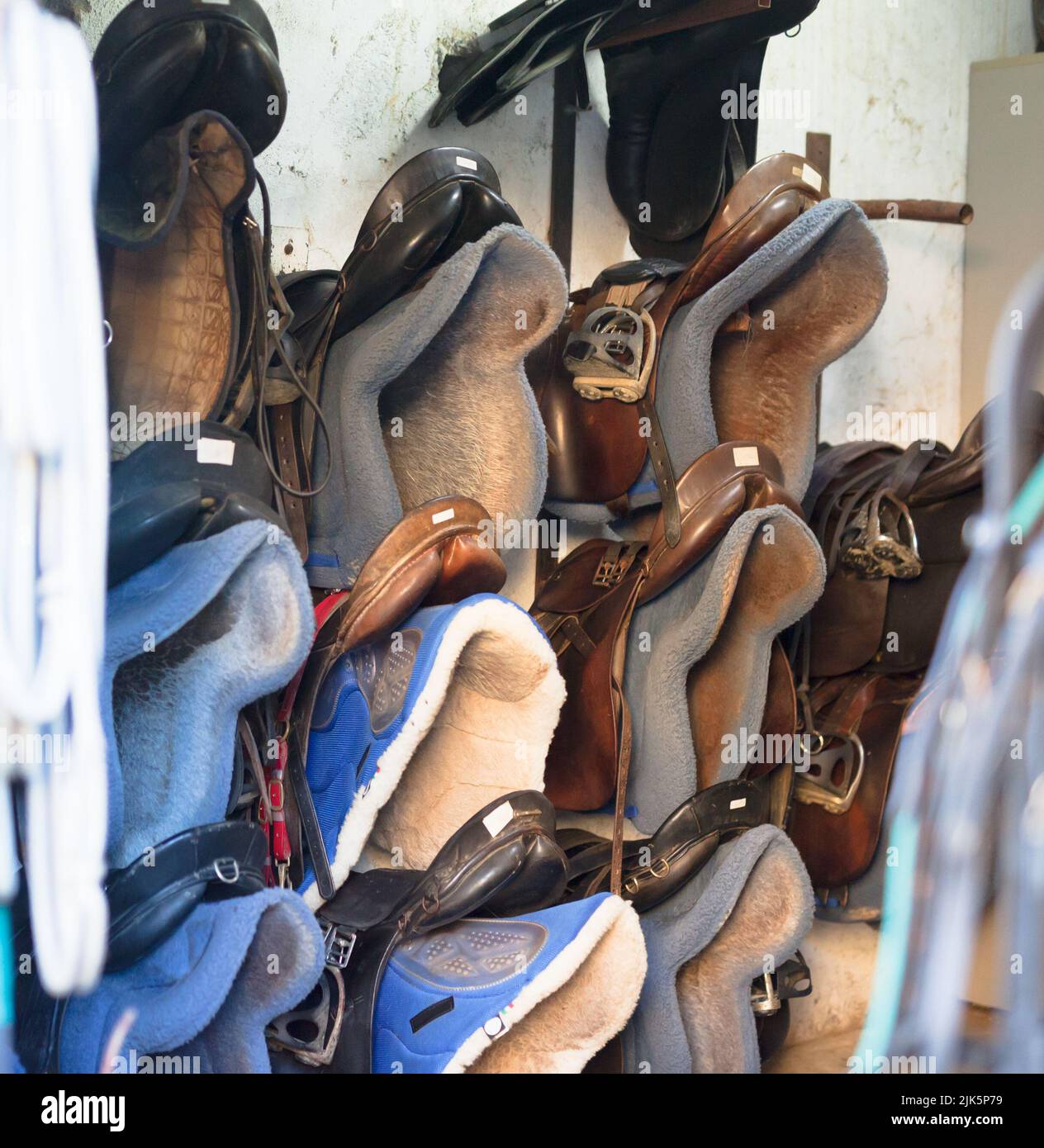 Different seats for horse riding at horse stable, nobody Stock Photo
