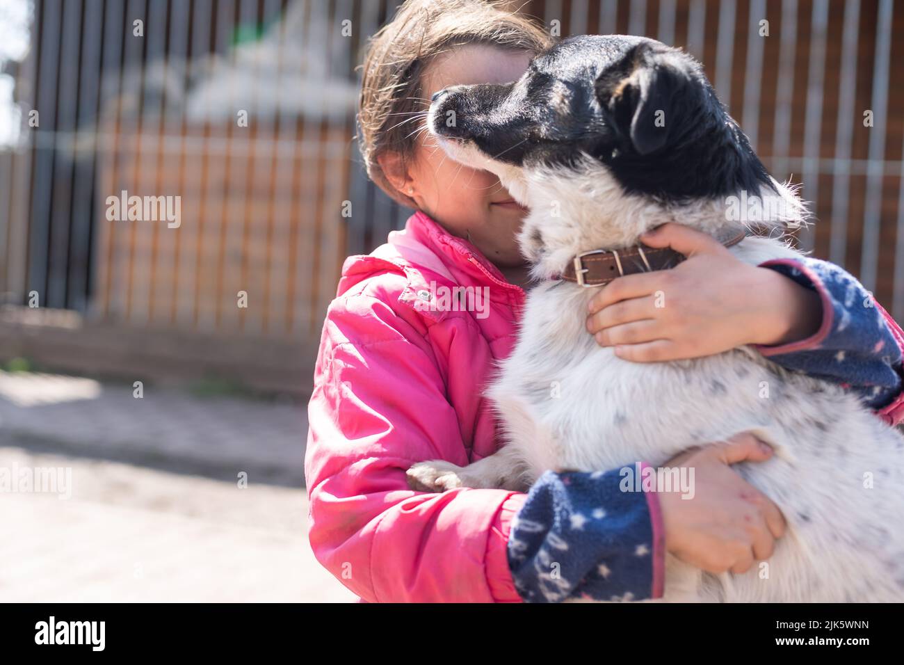 Little latin girl with her big dog in the countryside Stock Photo