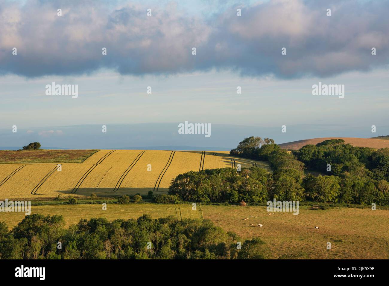 Beautiful Summer sunrise English countryside landscape image with
