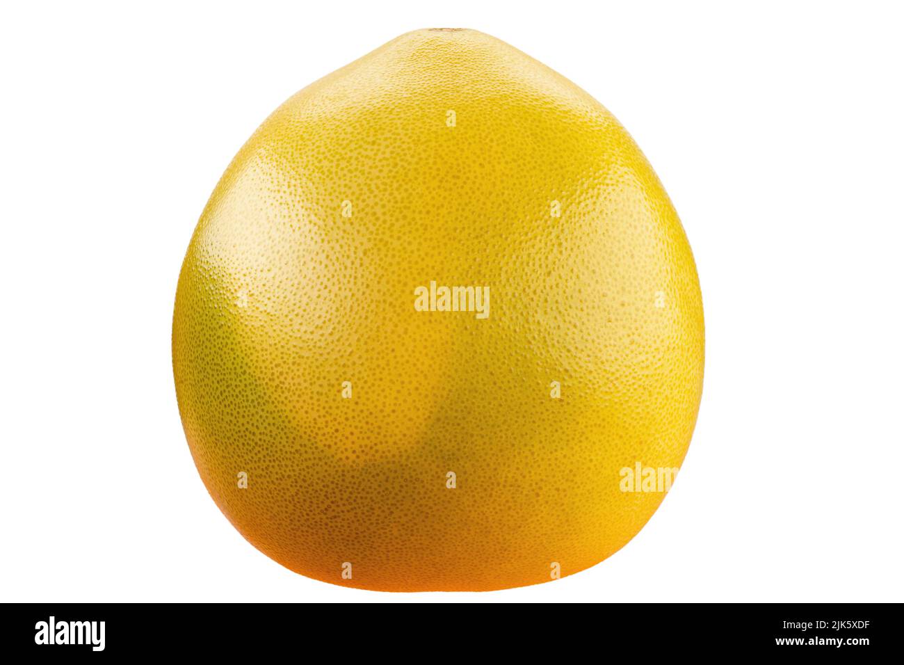 Pomelo citrus fruit. Ripe grapefruit. Pomelo isolated on white