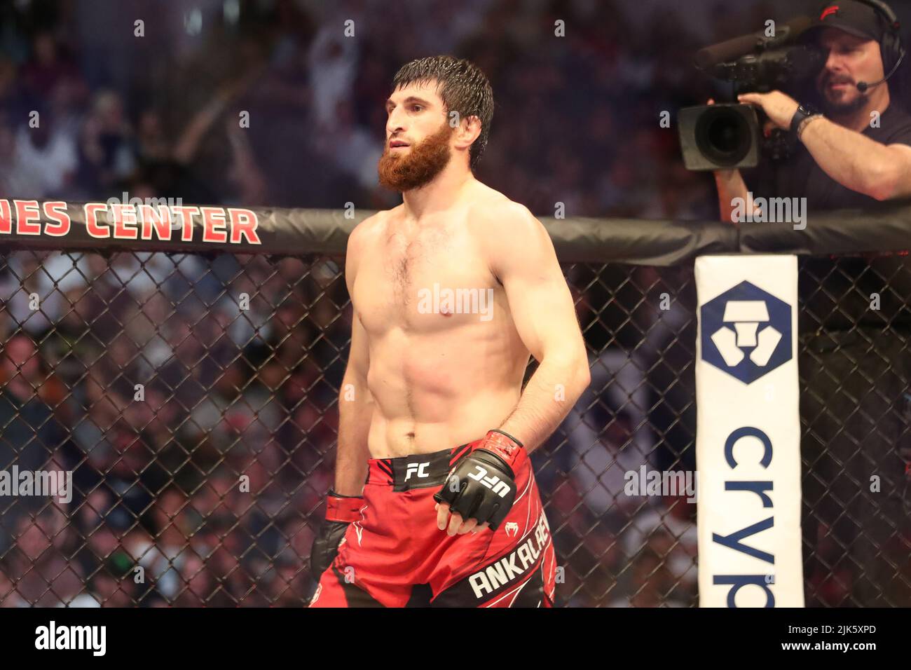 Ufc магомед анкалаев джонни уокер