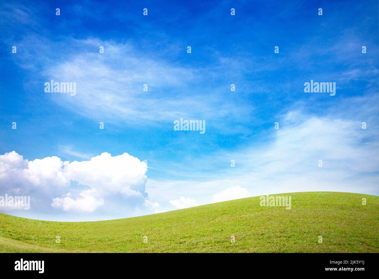 green grass field and blue sky with white clouds Stock Photo - Alamy