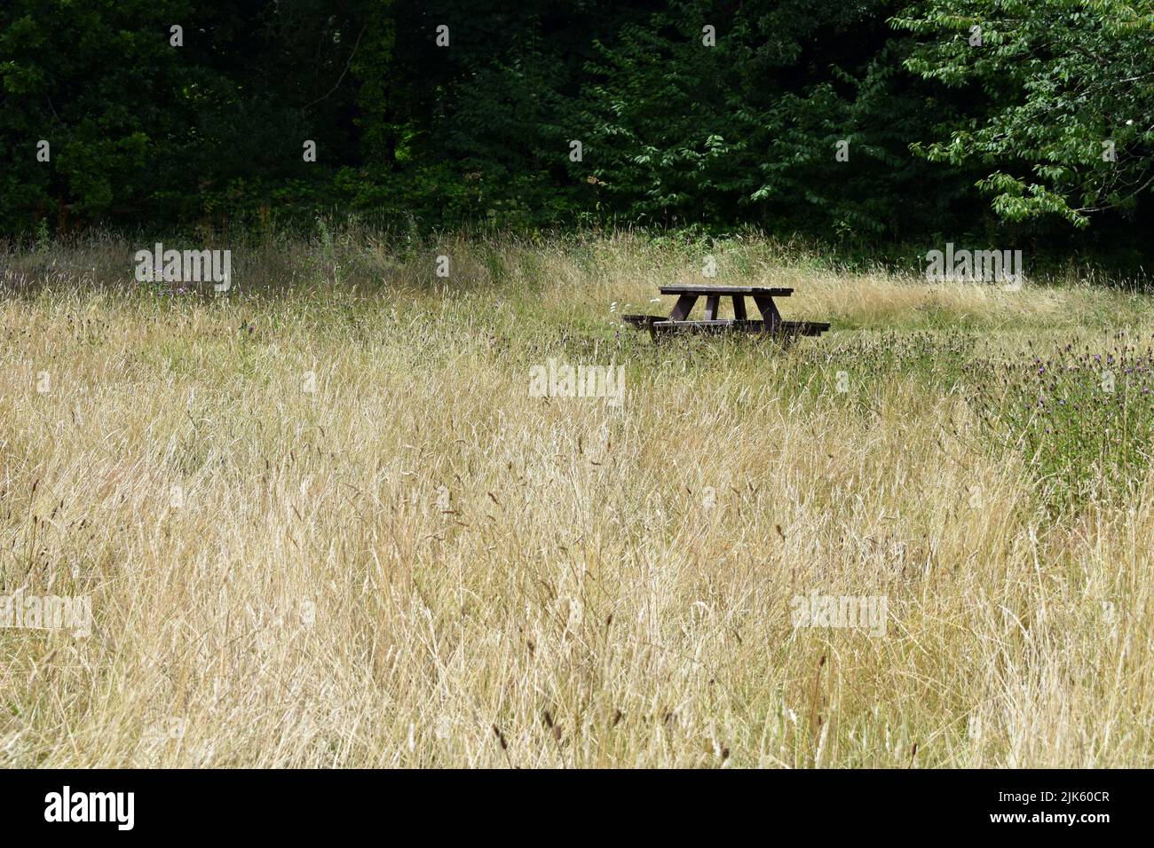 Stackpole Outdoor Wooden seat wooden bench hi-res stock photography and images - Alamy