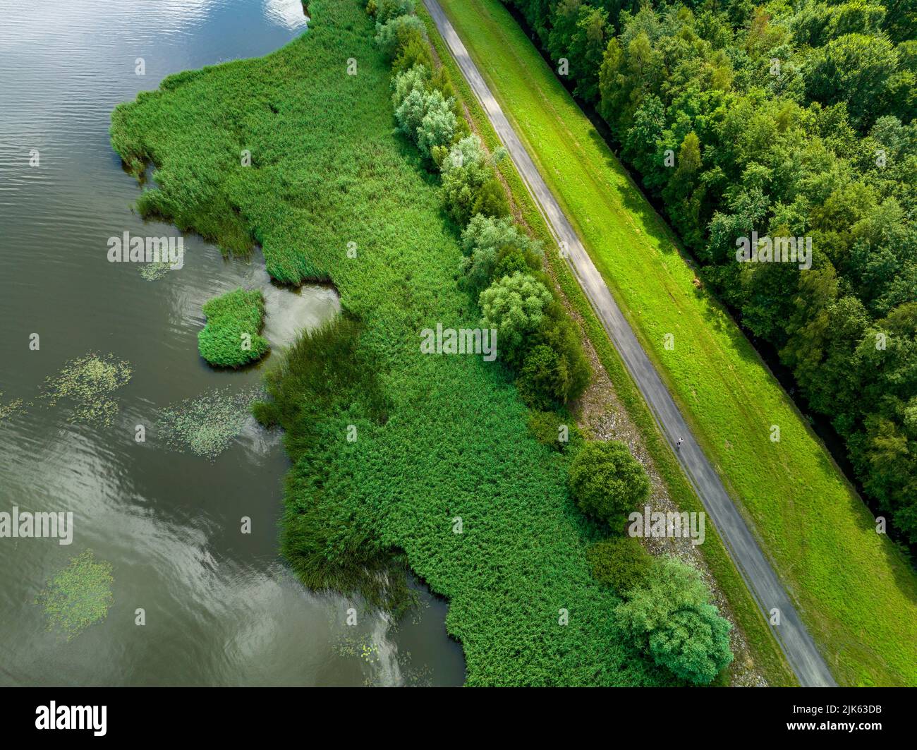 Aerial view of green lake bank. Natural habitat for wild nature and
