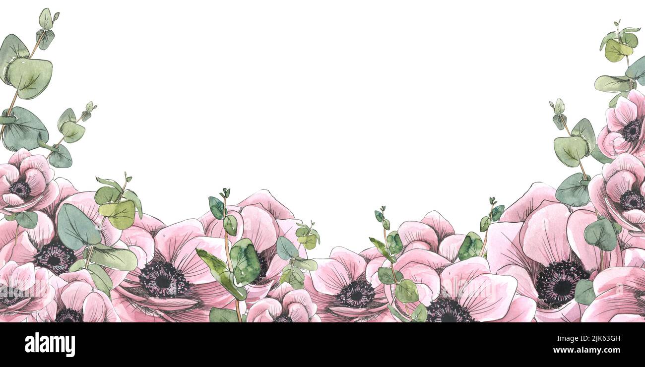Horizontal board with pink flowers, anemones and eucalyptus twigs. Watercolor illustration with sketch-style graphic elements. A banner from a large Stock Photo
