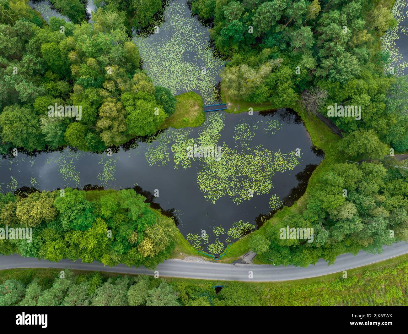 Aerial view of green lake bank. Natural habitat for wild nature and