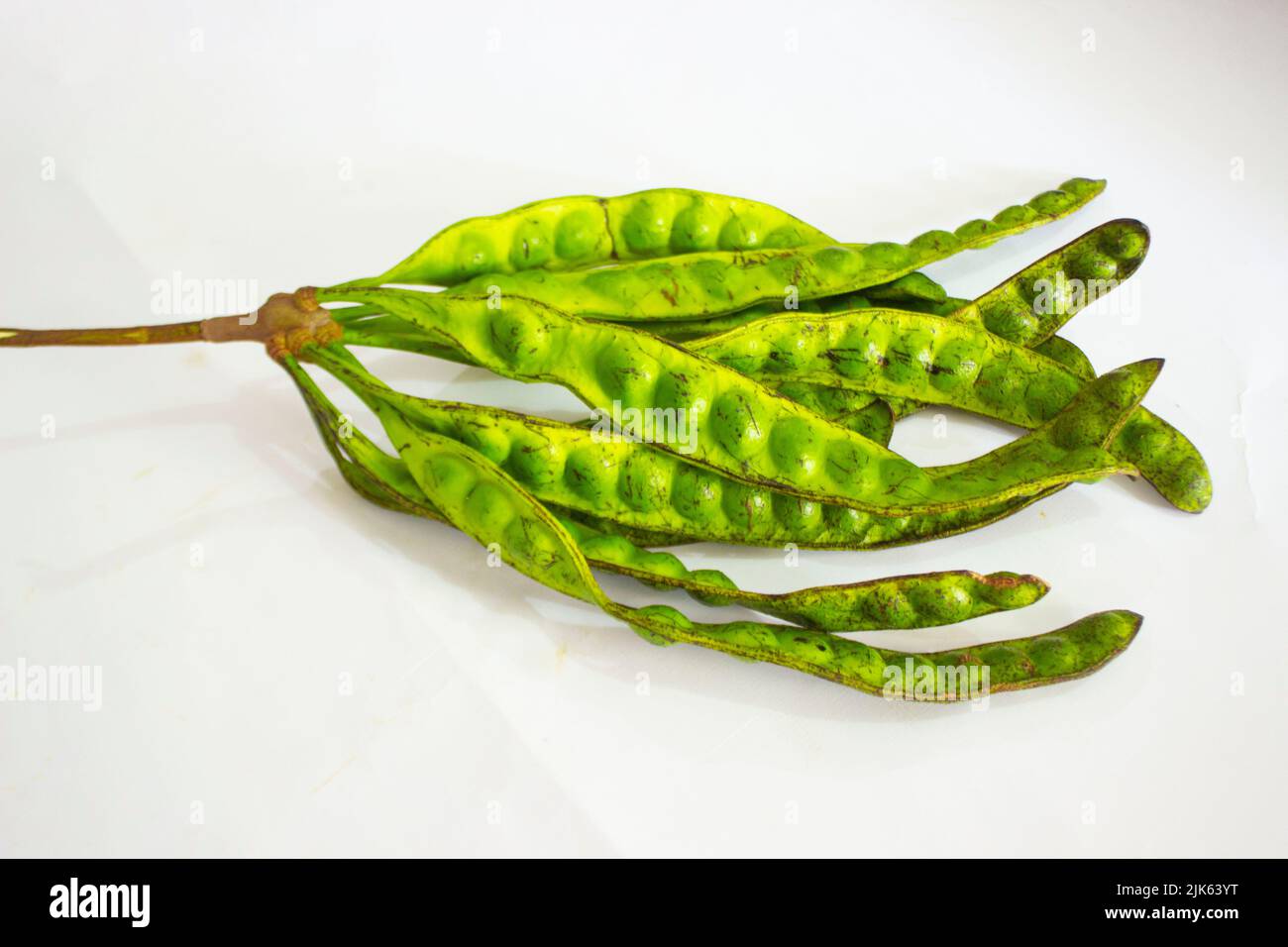 Petai, Twisted cluster bean, Stink bean, Bitter Bean, Parkia speciosa seeds, isolated on white background Stock Photo