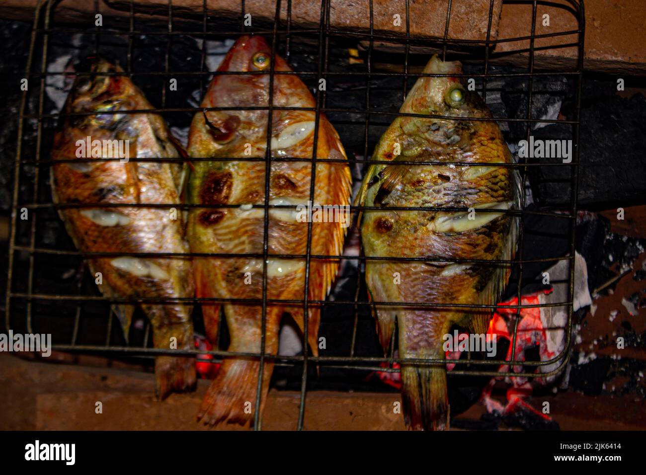 grilled fish Nile Tilapia on charcoal grill grilled fish Nile Tilapia