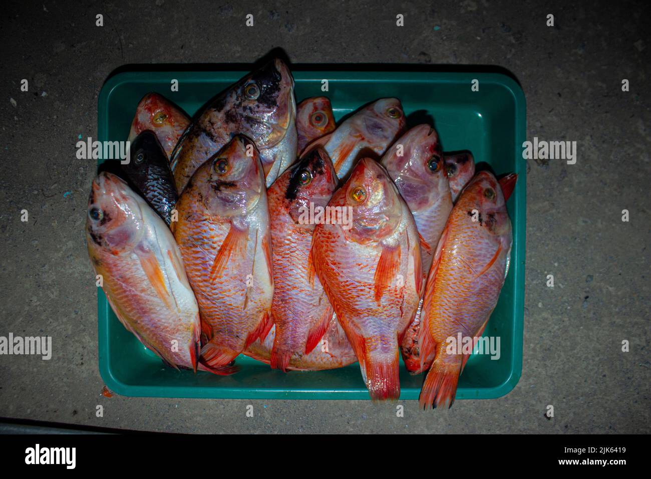 grilled fish Nile Tilapia on charcoal grill grilled fish Nile Tilapia