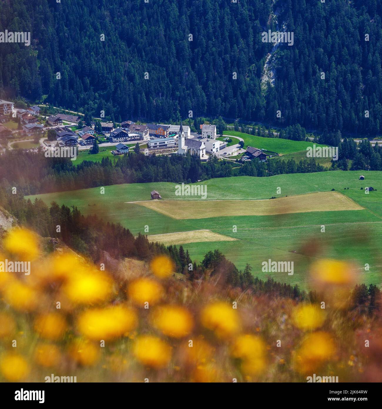Blur effect of yellow flowers. View on Kals am Großglockner town. Osttirol. Austrian Alps. Europe. Stock Photo