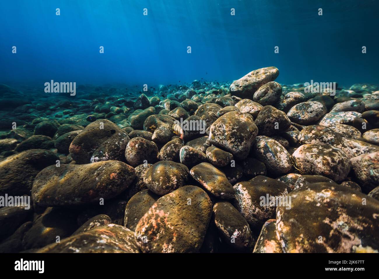 Underwater seascape with stones and blue water with sun rays Stock ...