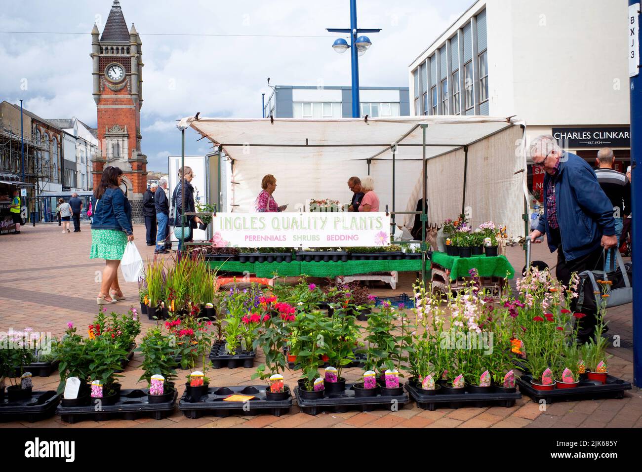 Gardeners buying  bedding and pot plants  at Ingles Quality Plants at a weekly market flower stall  in  Redcar North Yorkshire Stock Photo