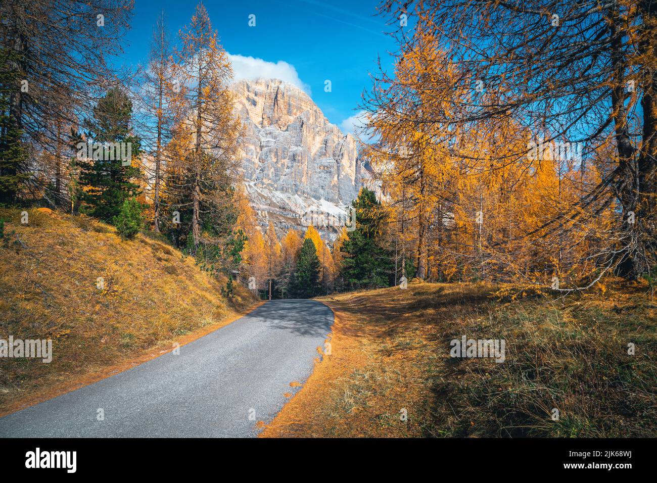 Hiking trail in the colorful autumn forest. Yellow larches and beautiful high mountain peaks in background, Dolomites, Italy, Europe Stock Photo