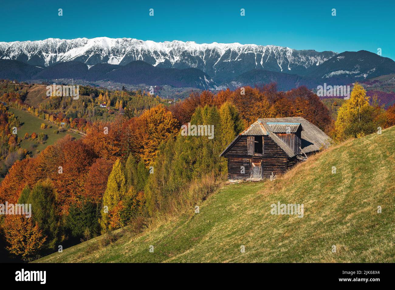 Majestic autumn scenery and colorful deciduous forest on the hills. Colorful forest on the slope and snowy mountains in background, Piatra Craiului mo Stock Photo