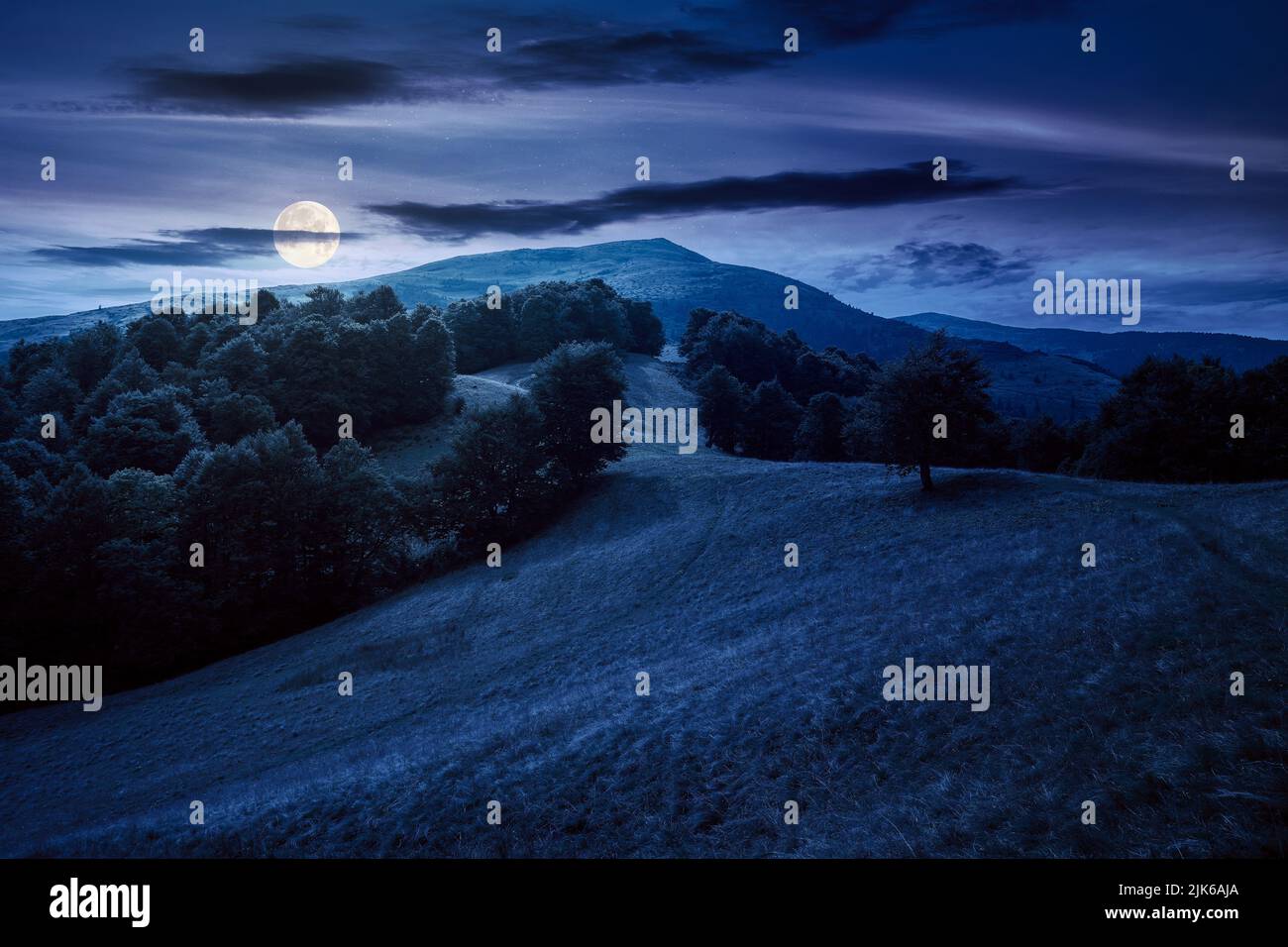 stunning mountain landscape in summer at night. forested hills and grassy meadows in full moon light. view in to the distant valley and ridge beneath Stock Photo