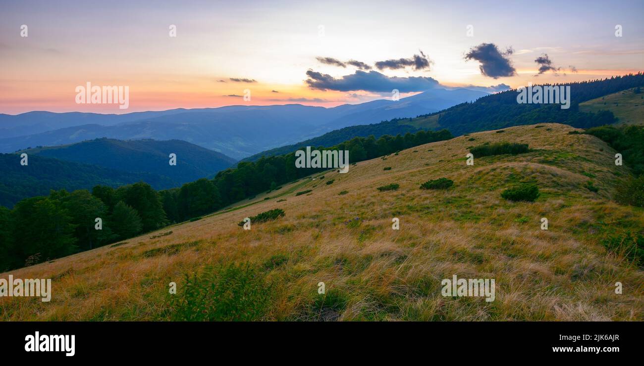mountain landscape at dusk. beautiful nature scenery of carpathians. grassy meadows an forested hill in blue hour light Stock Photo
