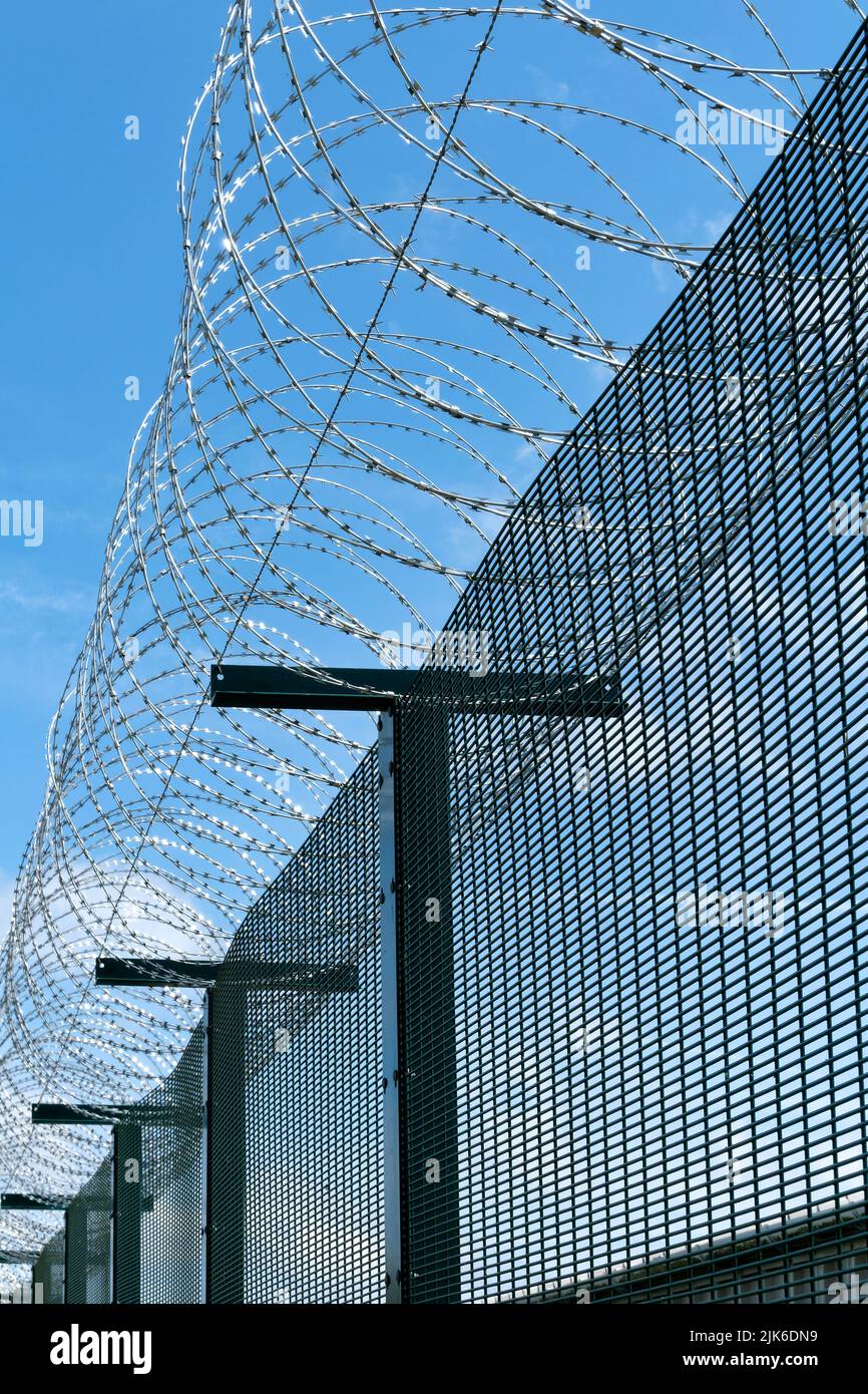 The image shows razor wire barbed tape coiled along the top of a metal fence. The wire is a secure deterrent and provides security for the premises Stock Photo