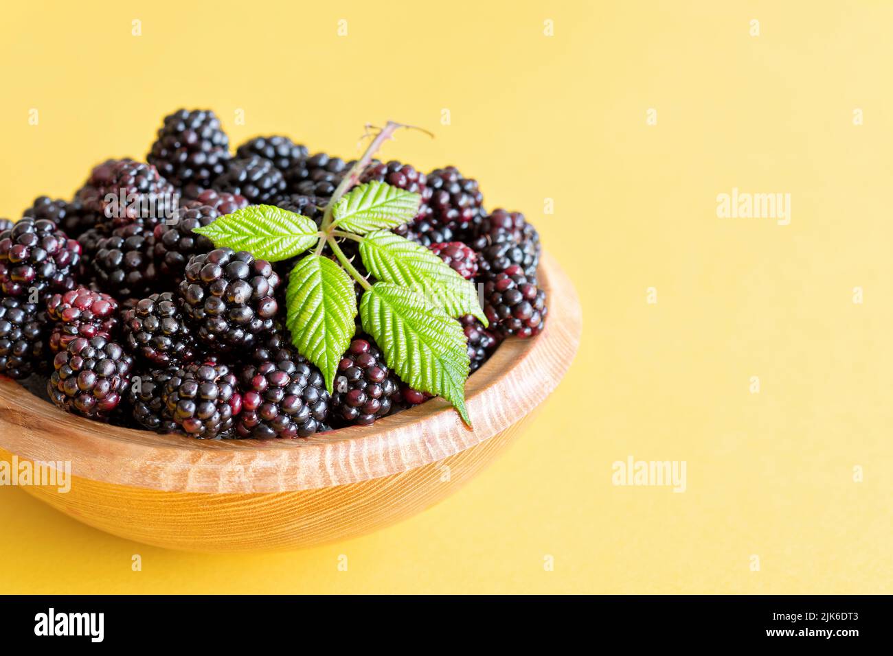 A wooden bowl of freshly picked, wild blackberries, Rubus fruticosus. A bramble leaf has been presented on top of the juicy black countryside fruits Stock Photo