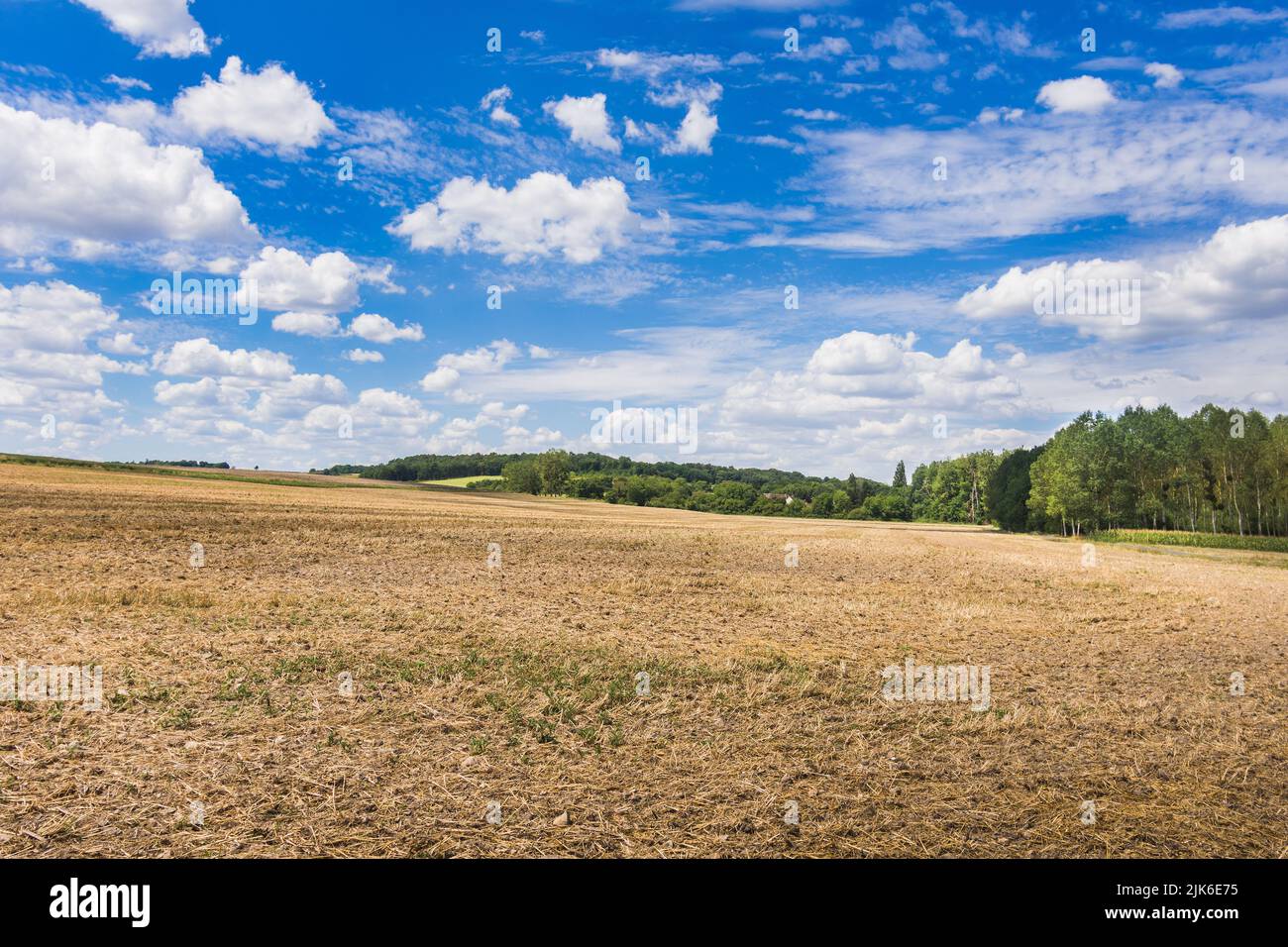 Fallow farmland after Spring harvest - sud-Touraine, Ind-re-et-Loire (37), France. Stock Photo