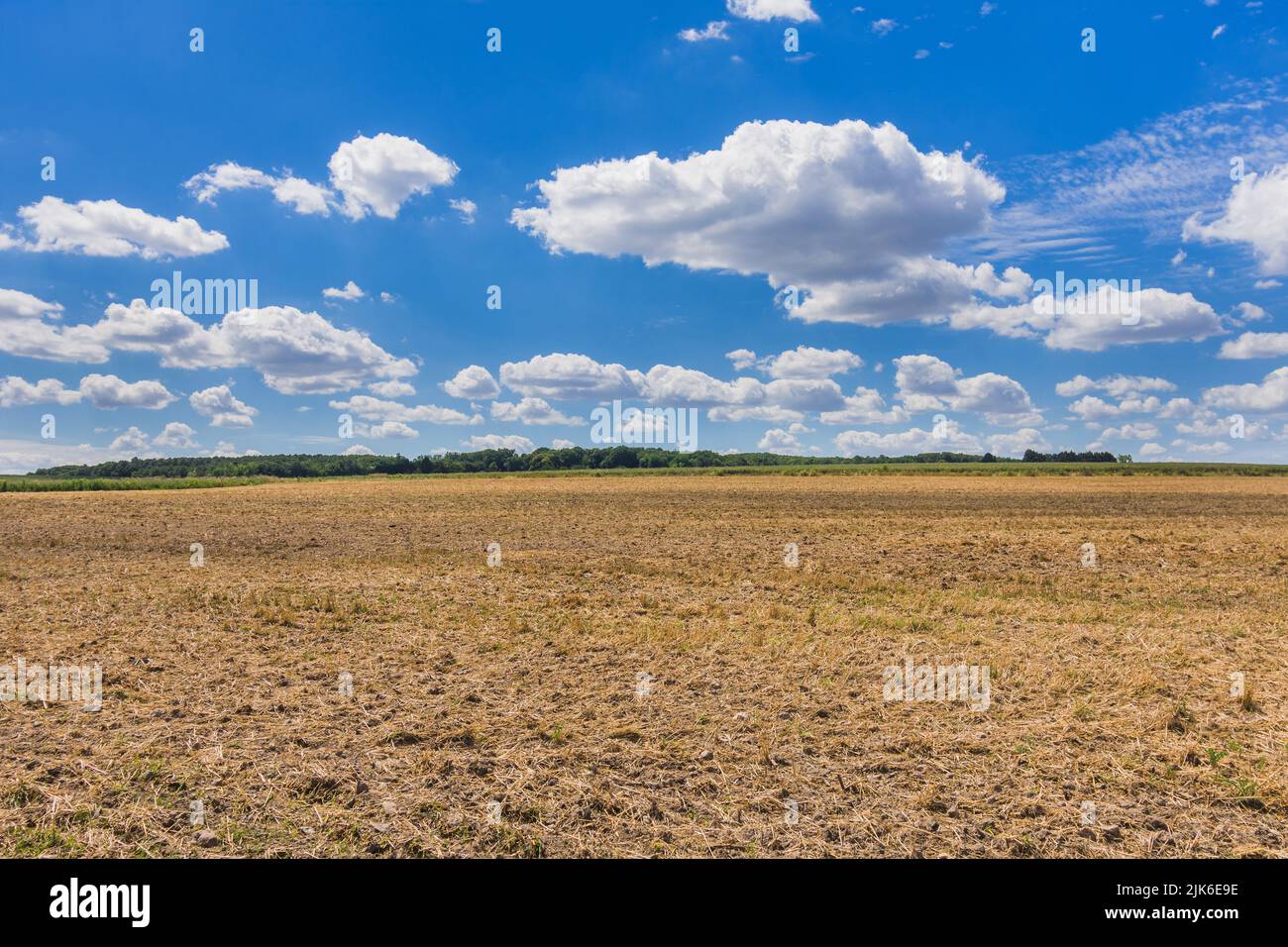 Fallow farmland after Spring harvest - sud-Touraine, Ind-re-et-Loire (37), France. Stock Photo