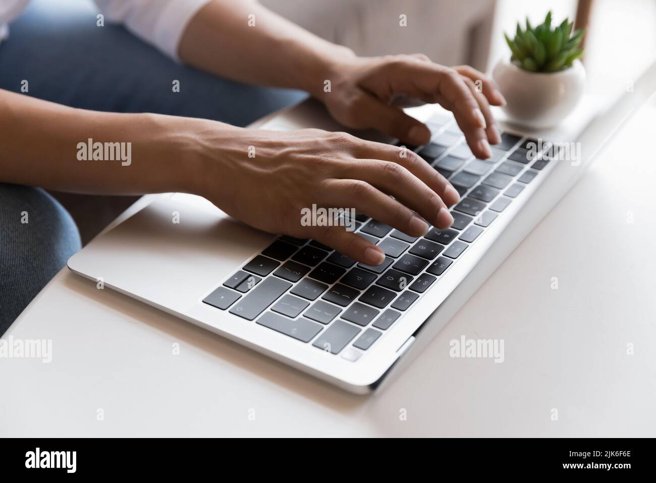 Young freelancer woman working at computer at home, using laptop Stock Photo