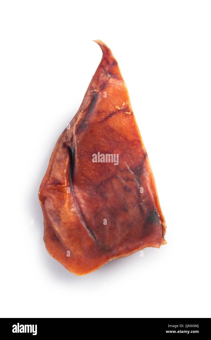 Studio shot of pigs ear, commonly used as a dog treat, cut out against a white background - John Gollop Stock Photo