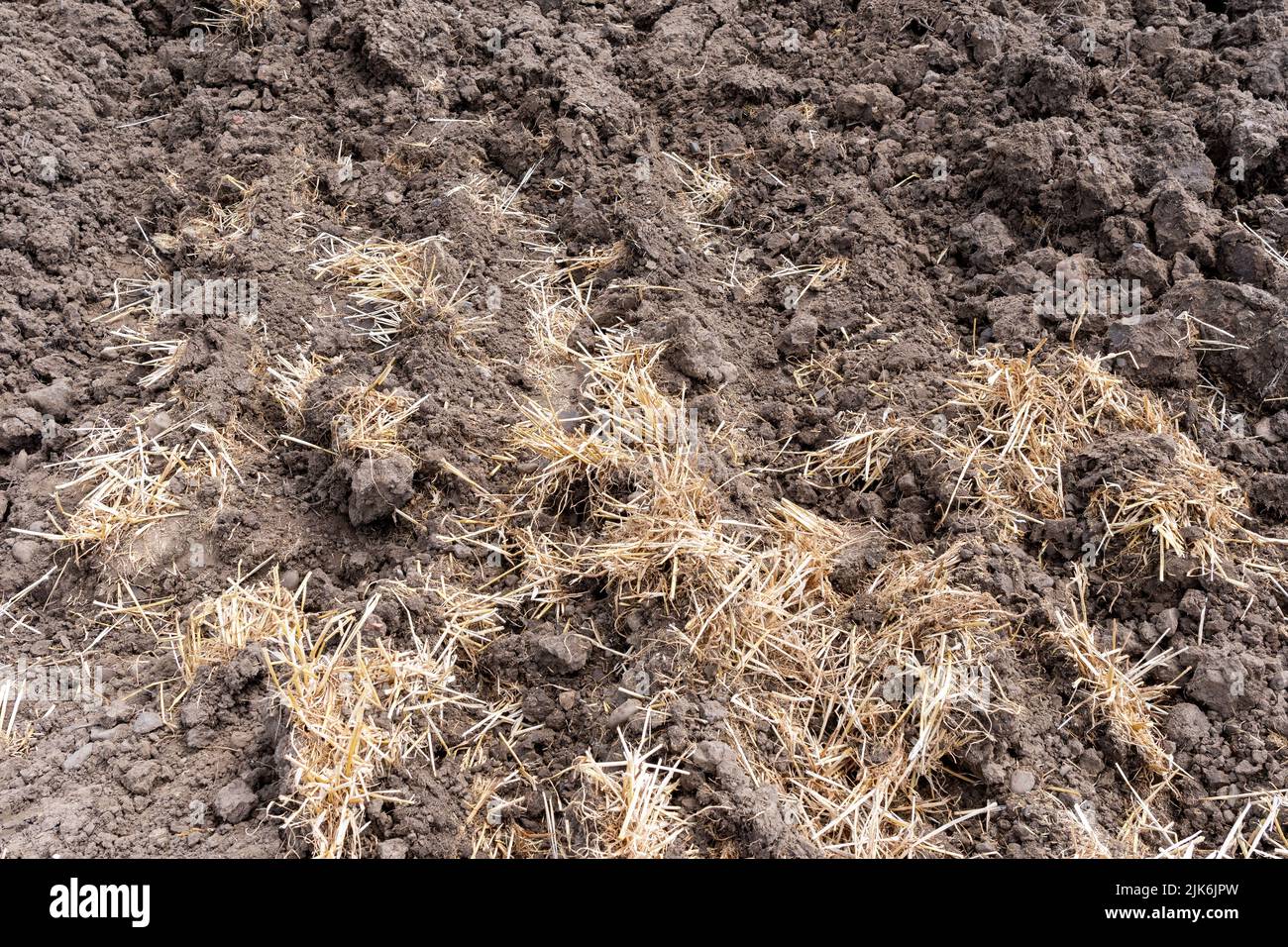 Freshly ploughed soil, with straw ploughed in to help improve soil structure and fertility. North Yorkshire, UK. Stock Photo