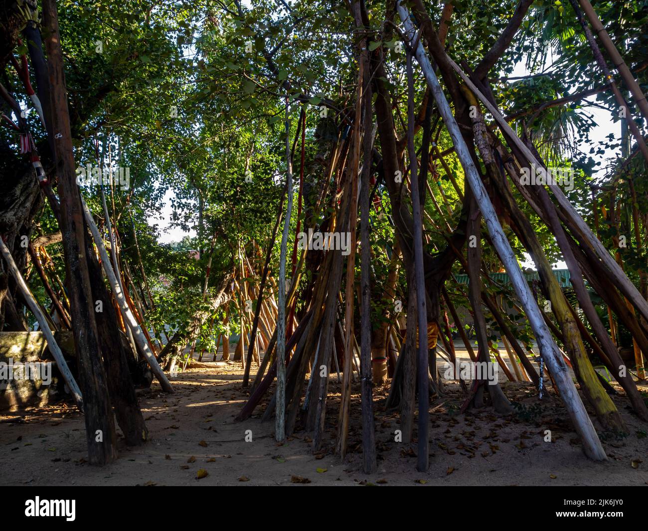 Pho tradition crutches hires stock photography and images Alamy