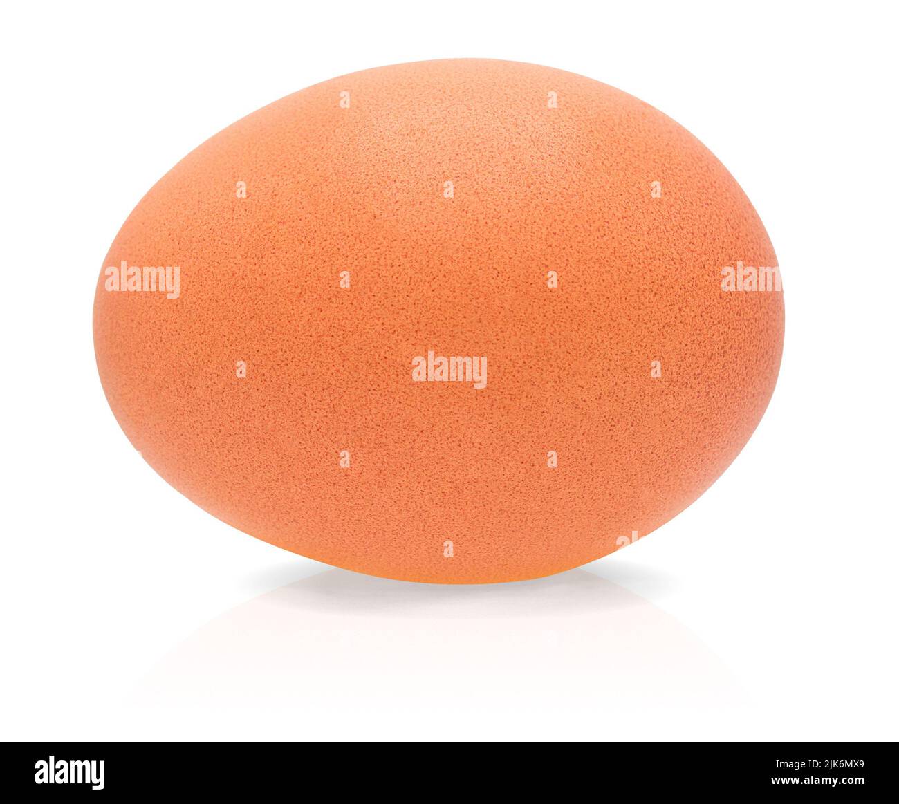 Egg isolated on white background with clipping path,Close up,Shadow Stock Photo