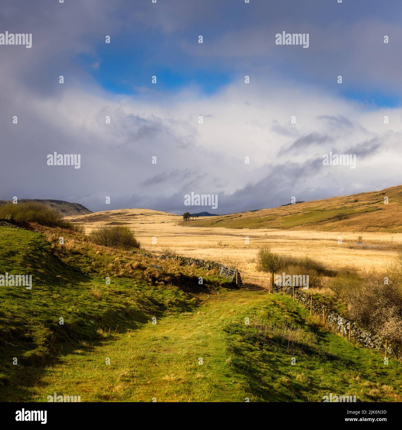 The remote valley of Grobdale north of Gatehouse of Fleet, Dumfries and Galloway Stock Photo