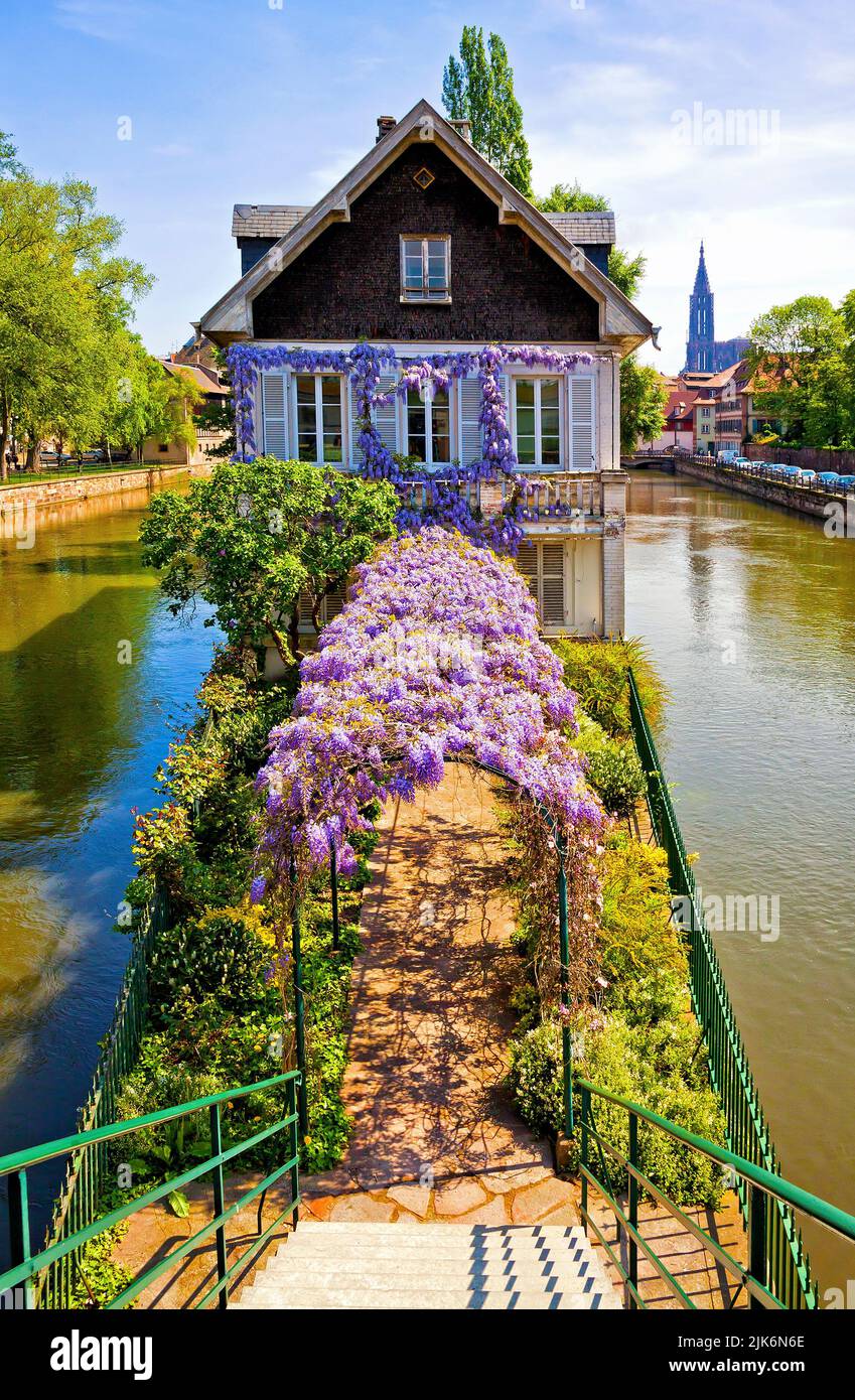 The beautiful house La Maison des Ponts Couverts (English: House of Ponts Couverts bridge) in Strasbourg city, Alsace, France Stock Photo