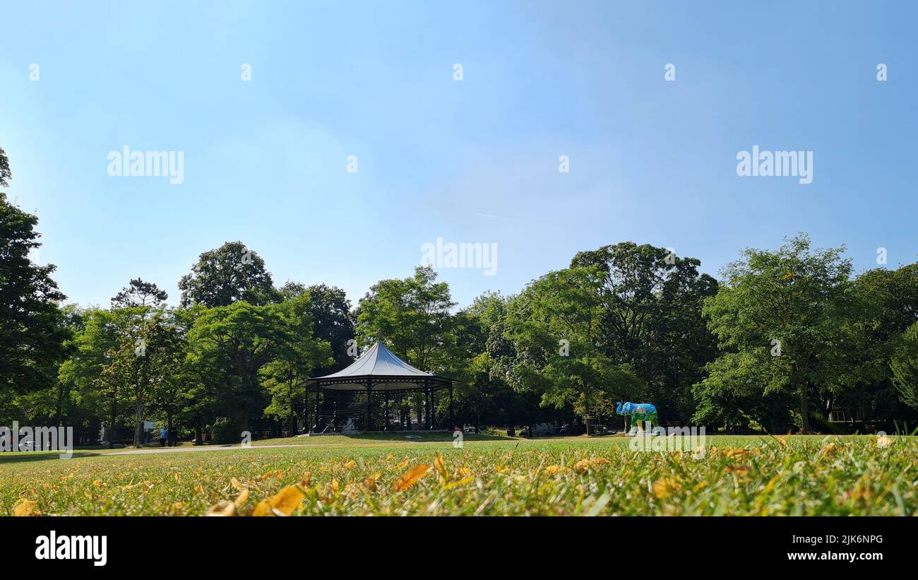 Beautiful Trees, park, clouds, nature at British Landscape of England